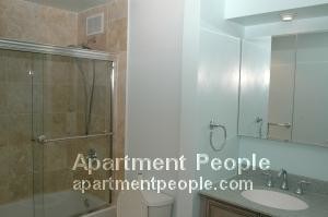 110 E Delaware Pl-Unit -1201 in Chicago, IL - Building Photo - Building Photo