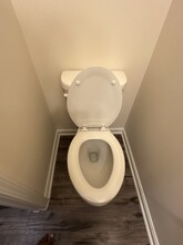 1032 Laceflower Dr in Durham, NC - Building Photo - Building Photo