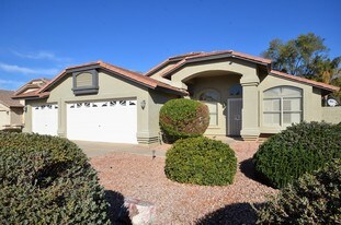 1108 E Betsy Ln in Gilbert, AZ - Building Photo