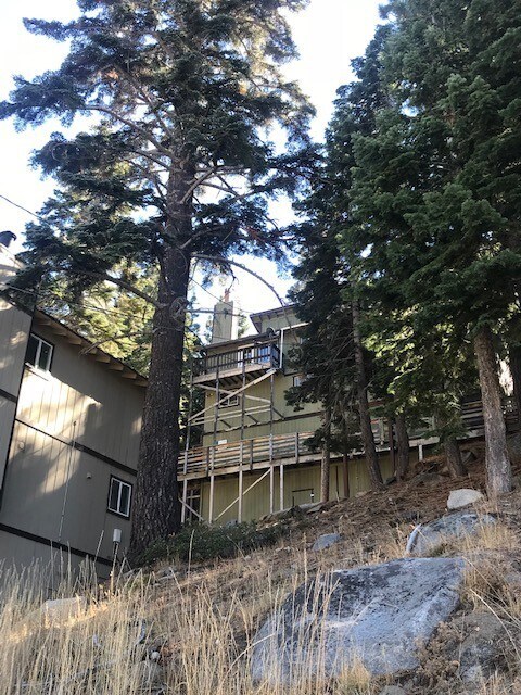 723 Gary Ln in Stateline, NV - Building Photo