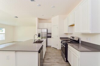 33552 Sky Blossom Cir in Leesburg, FL - Building Photo - Building Photo
