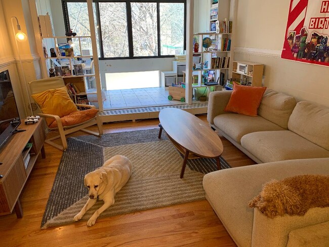 38 Juniper St, Unit 113 in Brookline, MA - Building Photo - Building Photo
