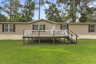 30003 W Boardwalk Dr in Magnolia, TX - Building Photo