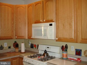 6516 Box Elder Loop in Gainesville, VA - Building Photo - Building Photo