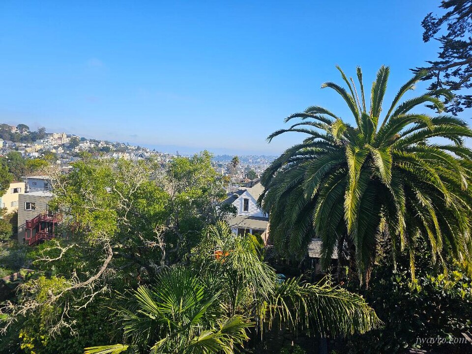 445 Hoffman Ave in San Francisco, CA - Foto de edificio