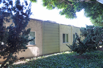 1002 Marine St in Santa Monica, CA - Building Photo - Building Photo