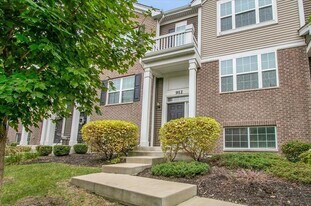 912 Bradford Dr in Naperville, IL - Building Photo