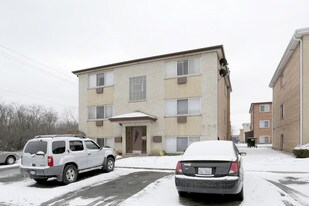 9201 Susy Ln in Schiller Park, IL - Building Photo