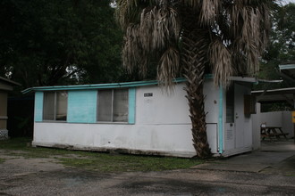 6817 N Habana Ave in Tampa, FL - Building Photo - Building Photo