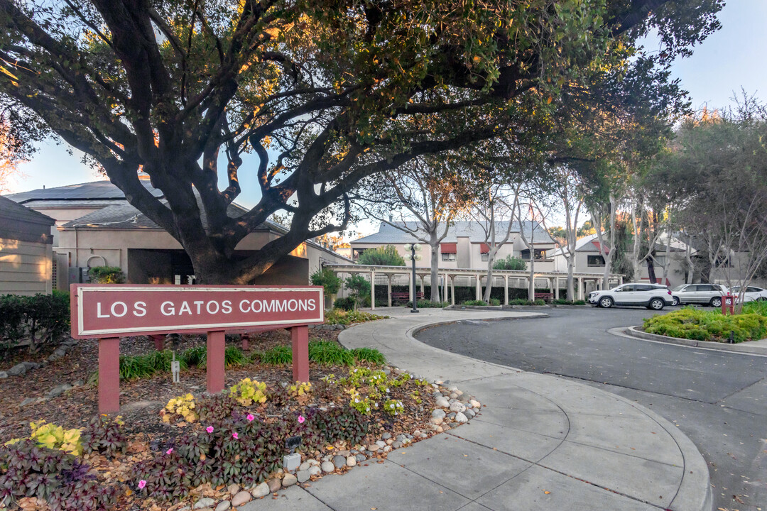 Los Gatos Commons in Los Gatos, CA - Foto de edificio