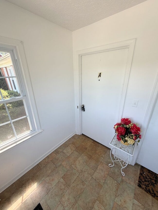 919 Sandusky Dr in Lynchburg, VA - Building Photo - Building Photo