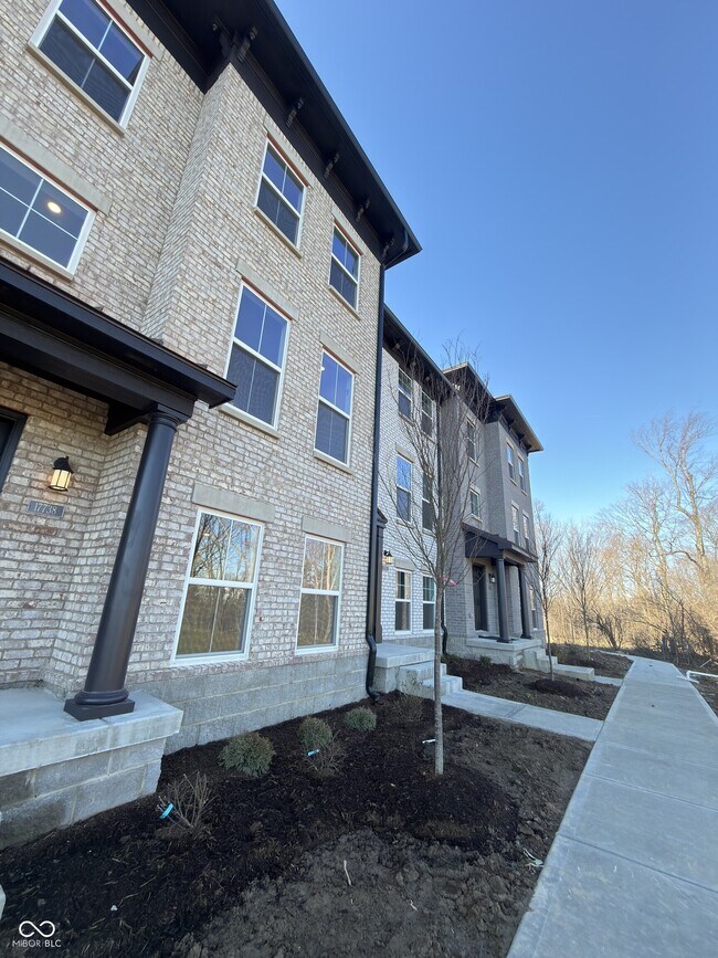 17738 Noel St in Noblesville, IN - Building Photo - Building Photo