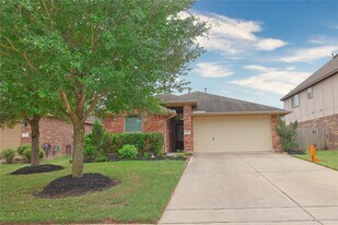 17203 Fable Springs Ln in Houston, TX - Building Photo