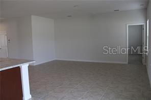 18291 Falling Pine Needle Ln in Land O Lakes, FL - Building Photo - Building Photo
