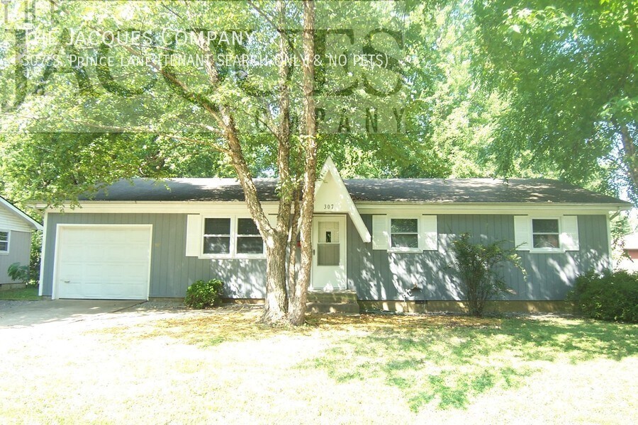 307 S Prince Ln in Springfield, MO - Building Photo
