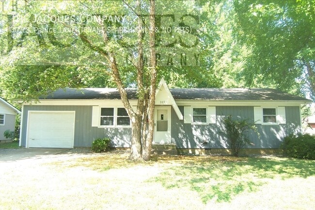 property at 307 S Prince Ln
