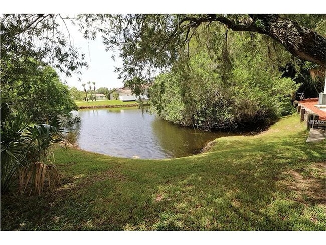 4426 Alligator Dr in New Port Richey, FL - Building Photo - Building Photo