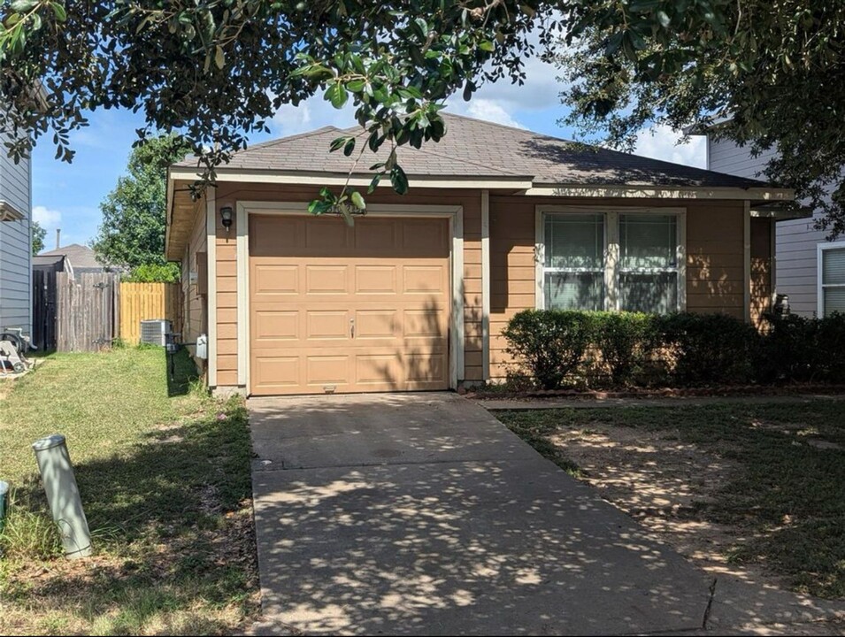 13025 Maidenhair Tr in Elgin, TX - Building Photo