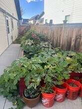 1766 Buckrake Ave in Bozeman, MT - Foto de edificio - Building Photo