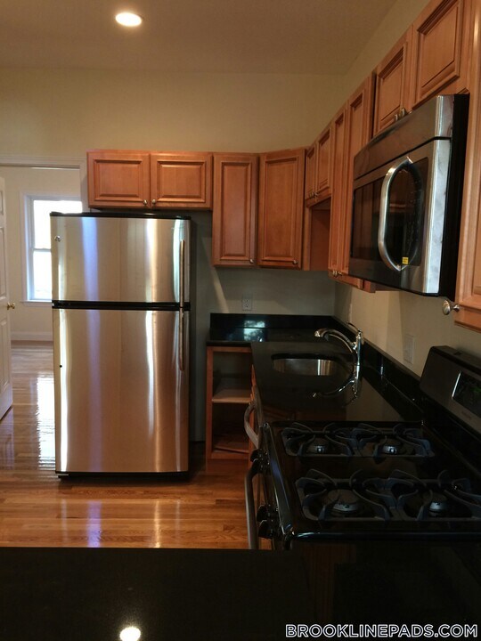 172 Fuller St in Brookline, MA - Building Photo