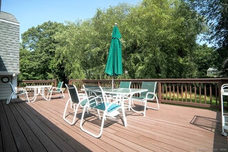 11 Beechwood Ln in Westport, CT - Building Photo - Building Photo