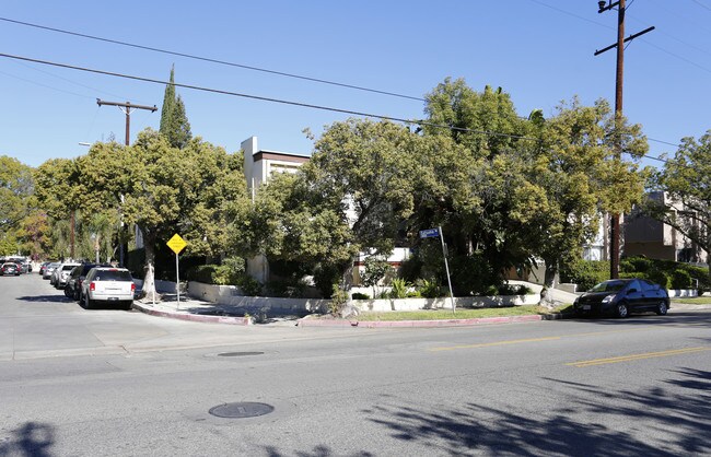 10821-10825 Satsuma Ave in North Hollywood, CA - Building Photo - Building Photo