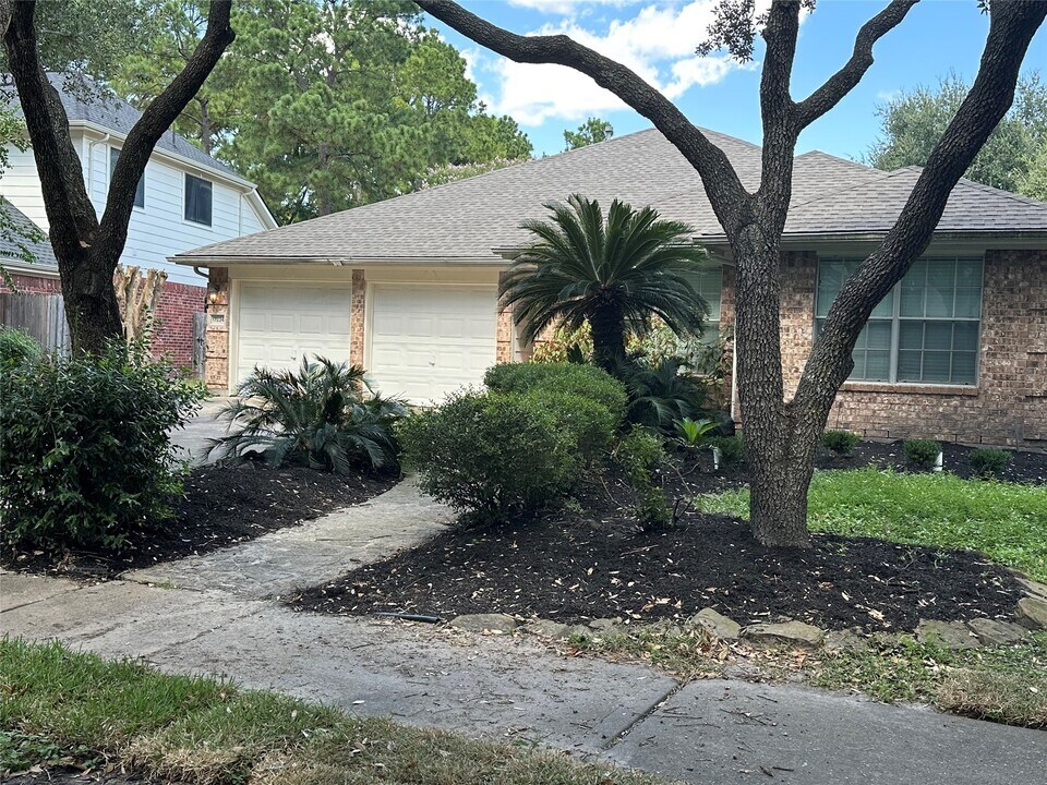 17234 Rancho Verde Way in Houston, TX - Building Photo