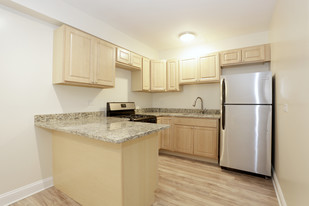 Commonwealth Apartments in Chicago, IL - Building Photo