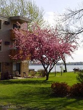 North Shore Apartments in Forest Lake, MN - Foto de edificio - Building Photo