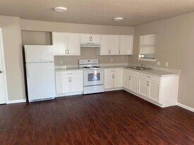 1113 Primrose Ave in McAllen, TX - Building Photo