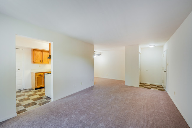 Shady Grove Apartments