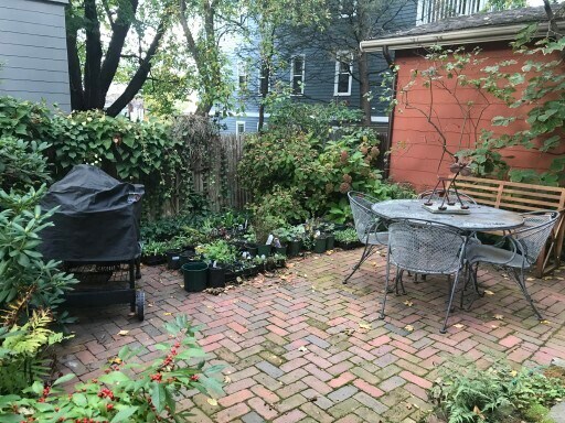 115 Upland Rd in Cambridge, MA - Building Photo