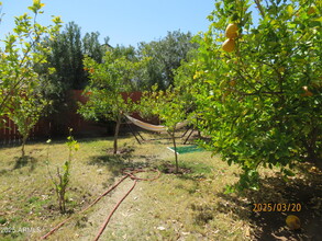 2383 W Le Marche Ave in Phoenix, AZ - Building Photo - Building Photo