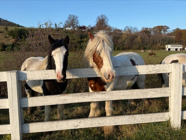 330 Briar Manor in Berwick, PA - Building Photo - Building Photo
