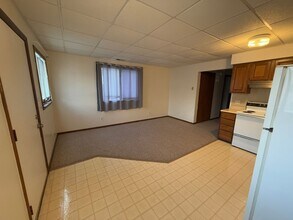 120 E Herbert St in Stockbridge, MI - Building Photo - Building Photo