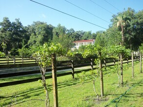 19364 Powell Rd, Unit 1 -VILLA ROMAN in Brooksville, FL - Building Photo - Building Photo