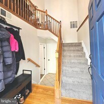 8502 Hallie Rose Pl in Alexandria, VA - Building Photo