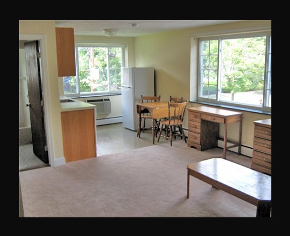 12 Brattle Dr in Arlington, MA - Building Photo