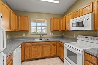 21 Herring Ct in Kissimmee, FL - Building Photo - Building Photo