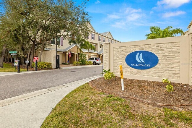 807 Callista Cay Loop in Tarpon Springs, FL - Building Photo - Building Photo
