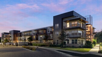 5705 Diehl Trail, Unit 04209 in Austin, TX - Building Photo