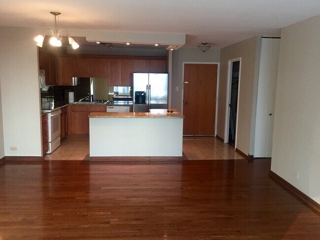 211 E Ohio St, Unit 1621 in Chicago, IL - Building Photo - Building Photo