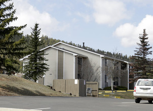 The Meadows Apartments in Woodland Park, CO - Building Photo - Building Photo