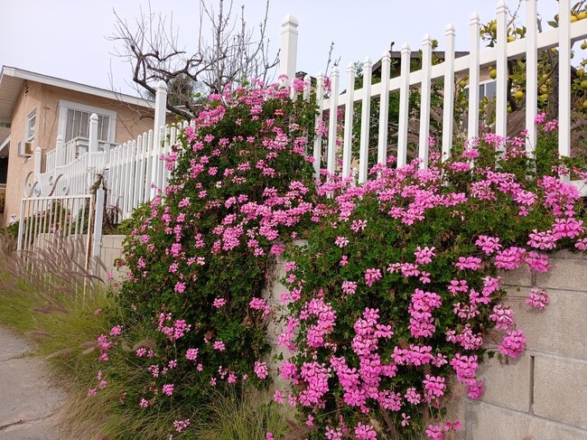 7848 Normal Ave, Unit Unit3