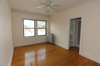 1167 N Dearborn St in Chicago, IL - Building Photo - Building Photo