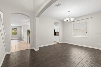 20405 Autumn Fern Ave in Tampa, FL - Building Photo - Building Photo