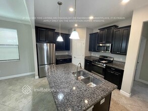 4382 Bexley Village Dr in Land O Lakes, FL - Foto de edificio - Building Photo