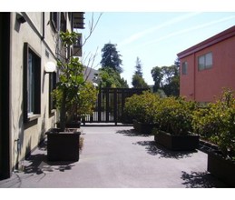 Channing Apartments in Berkeley, CA - Foto de edificio - Building Photo