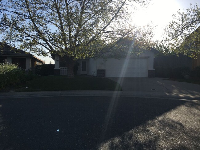 7951 Eskdale Ct in Sacramento, CA - Foto de edificio - Building Photo