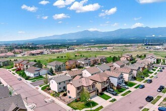 845 Fire Rock Pl in Colorado Springs, CO - Building Photo - Building Photo